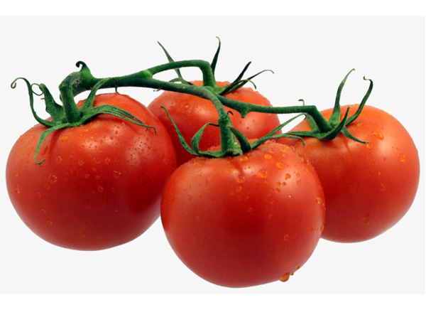 Indeterminate Tomato